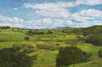夏天的回忆 布面油画 - 谭涤夫 - 中国油画  - 2010年秋季艺术品拍卖会 -收藏网