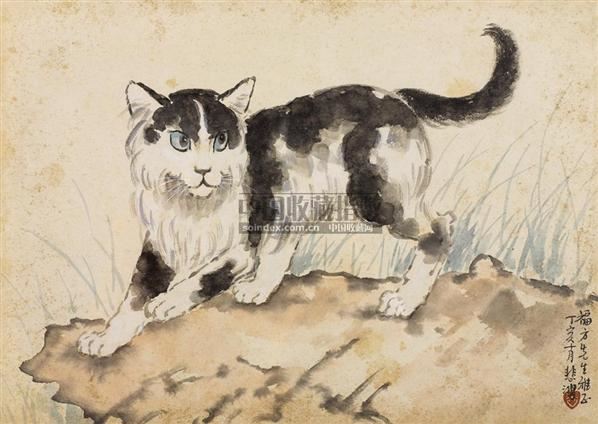 猫 镜心 设色纸本 - 116101 - 中国书画（一） - 2006春季拍卖会 -收藏网