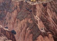 燕飞 信天游 布面 油画 - 154210 - 油画 - 2006年金秋珍品拍卖会 -收藏网