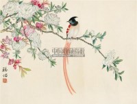 芙蓉绶带鸟 镜心 设色纸本 - 徐聪佑 - 中国书画一 名家小品及书法