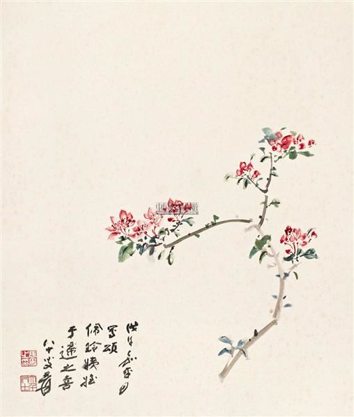 海棠 镜心 设色纸本-张大千-中国书画(一)-2011秋季拍卖会-收藏网