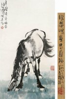 徐悲鸿(1895-1953) 马 - 116101 - 中国书画 - 2007年秋季中国书画拍卖会 -收藏网