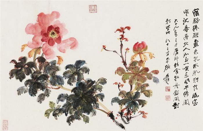 张大千(1899-1983) 牡丹花