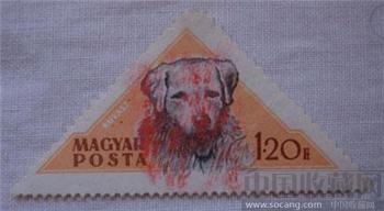 动物邮票-收藏网