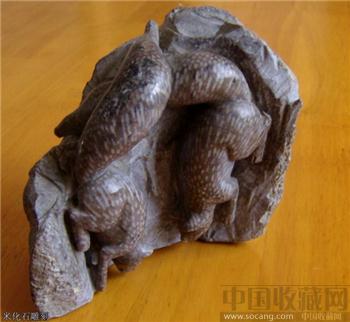 双松鼠--米化石-收藏网
