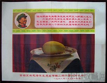 2开宣传画——毛主席赠送给清华大学工农宣传队同志们的芒果-收藏网