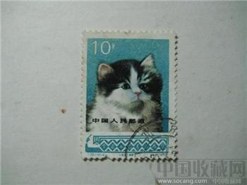 小猫邮票-收藏网