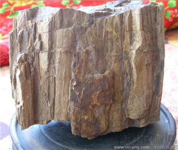 亿年木化石原石 -收藏网