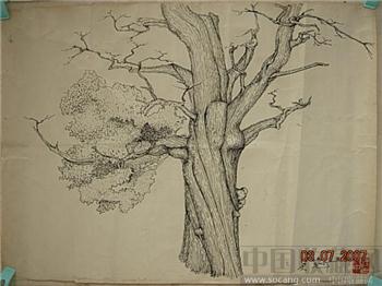 吴冠中－大树图－40×54-收藏网
