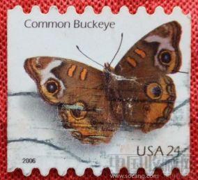 美国蝴蝶邮票-收藏网