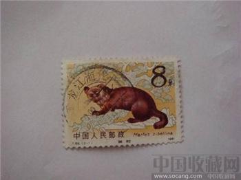 1981年动物邮票-收藏网