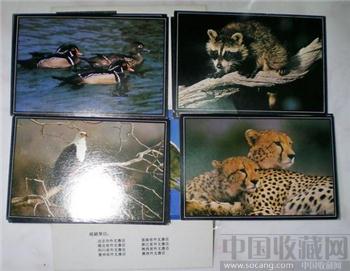 动物照片 明信片-收藏网