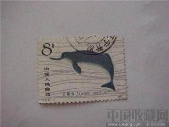 1980年海豚邮票-收藏网