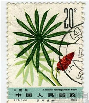 1982年植物邮票-收藏网