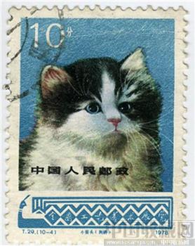 1978年小猫邮票-收藏网