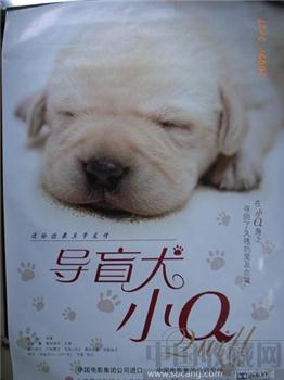 “导盲犬-小Q”电影海报-收藏网