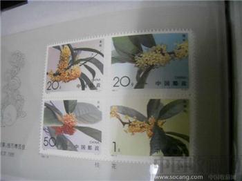 1995桂花邮票-收藏网