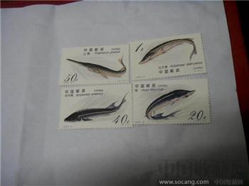 1994年中华鲟邮票-收藏网