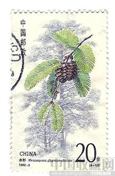水杉邮票-收藏网