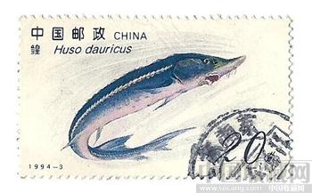 鳇鱼邮票-收藏网