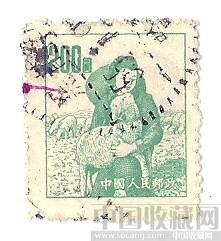 五十年代邮票-收藏网