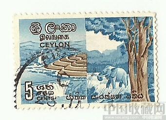 国外邮票-收藏网