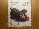 1995年猪年邮票-收藏网