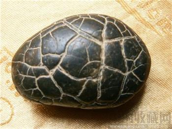 龟纹石-收藏网