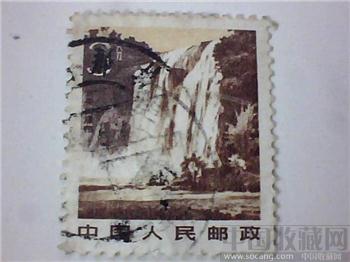 黄果树-收藏网