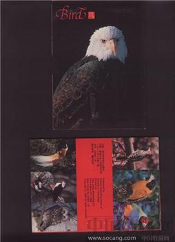 明信片《鸟》-收藏网