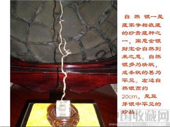 自然银 豆芽银（天然宝玉象形石）-收藏网