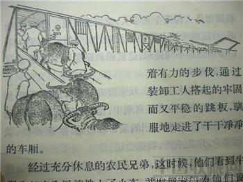 66 版 《 新上海的故事 》-收藏网