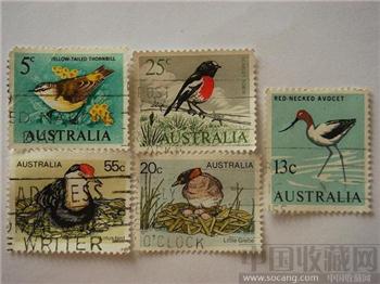 欧洲鸟类5张邮票造型各异动态完美幽雅 精美收藏增值-收藏网