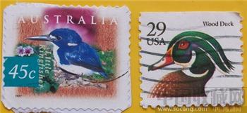 外国邮票 双枚邮票--珍稀鸟-收藏网