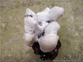 珍奇戈壁蛋白石：“永 远 的 雪 莲 花”-收藏网