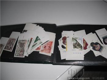 1995年全年邮票型张（不含世乒赛型张）-收藏网
