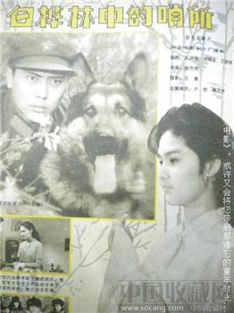 82年11月版《大众电影》 现货 包快递-收藏网