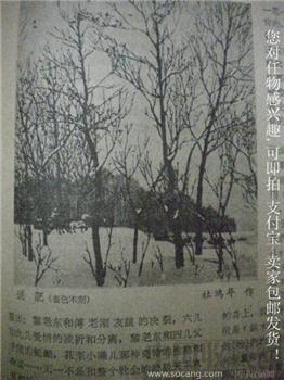61年版第10期 《文艺报》张光年 现货 包快递-收藏网