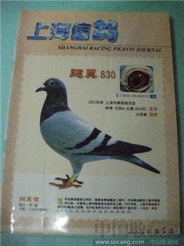 2002年版第1期《上海信鸽》冯志杰摄 现货 包快递-收藏网