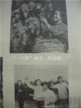 75年 中国昆虫学会编《昆虫知识》第四期-收藏网