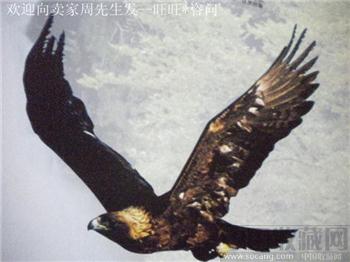 09年版《中国印染协会信息纺织印染》7现货 包快-收藏网