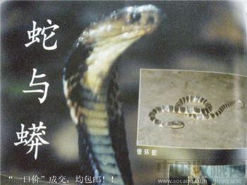 保护珍贵稀有濒危植物 98年版 王珏编《大自然》第4期 现货 包快-收藏网