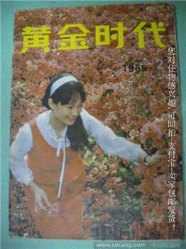 春姑娘来了 辣剂煌编85年版《黄金时代》2-收藏网