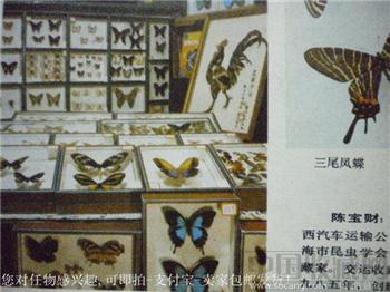 86年版《上海市交运职工艺术作品集》书法美术摄影集邮收藏-收藏网