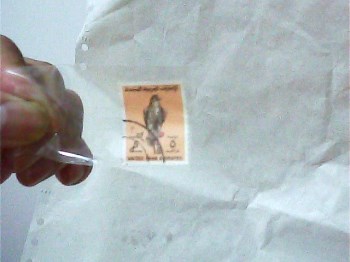 阿联酋邮票 -收藏网
