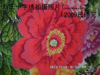 国色牡丹花开富贵(九尺牡丹)-收藏网